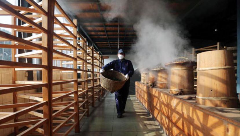 图示：一位工人端着茶筐从熏蒸台走过。
