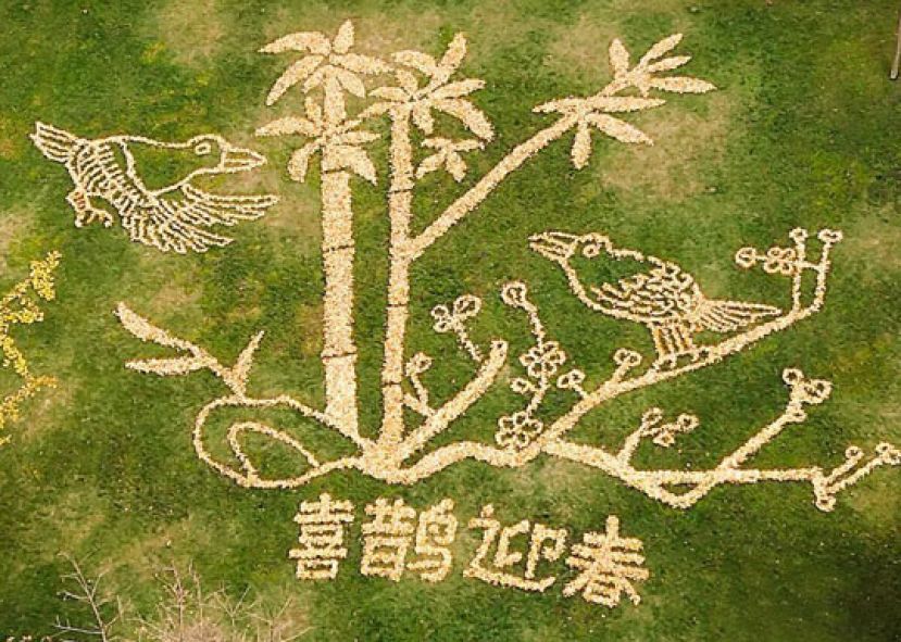 成都一物业绿化工 用落叶作画引关注