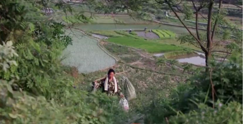 农妇40余年挑坏18根扁担捐资助学&ldquo;走红&rdquo;网络