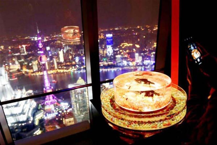 图示：展出的金鱼展缸与浦东陆家嘴的景观灯光相辉映。