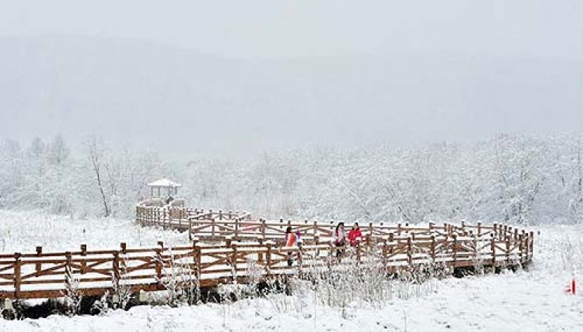 内蒙古深秋迎首场降雪