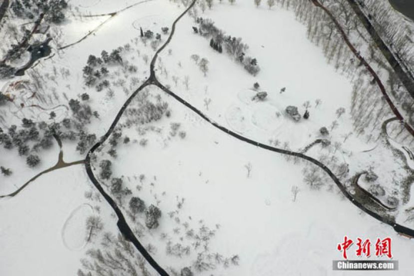 沈阳三月飘雪美景如画
